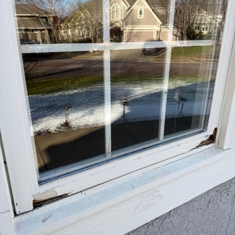 Window Rot
