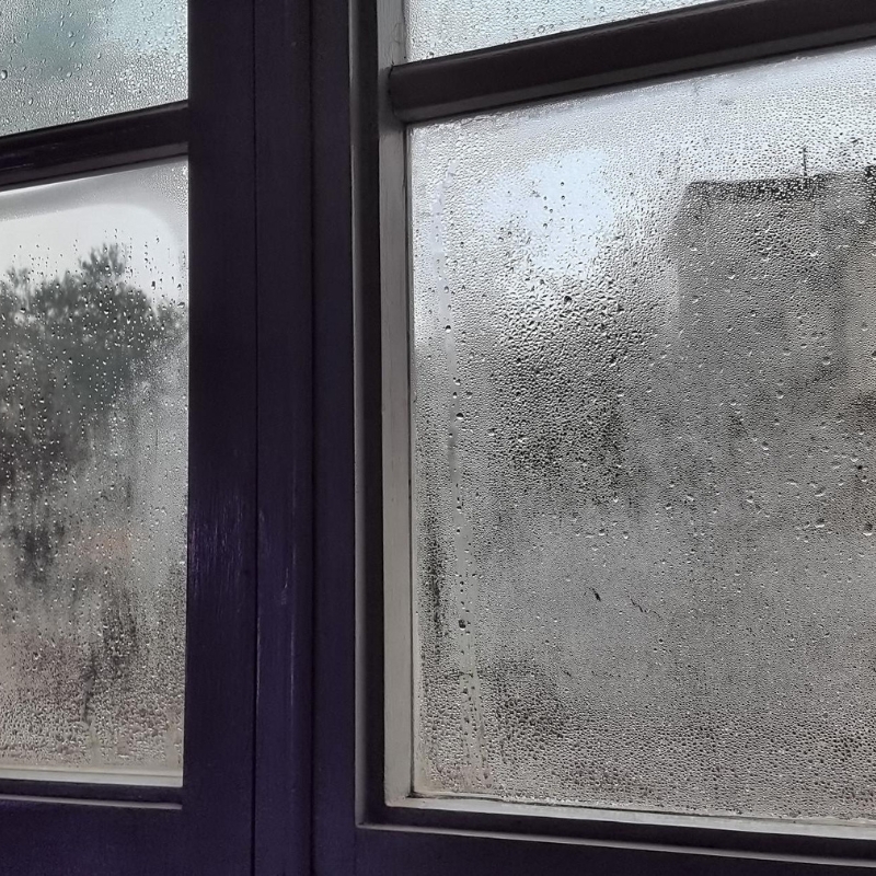 Window Condensation