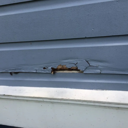 Siding Rot